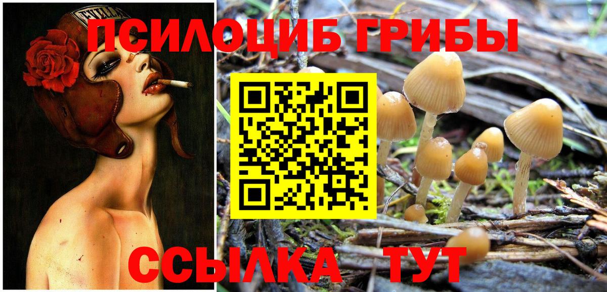 Псилоцибиновые грибы прущие грибы Ревда